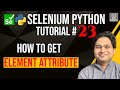 Selenium Python Tutorial #23 - How to Get Element Attribute Value