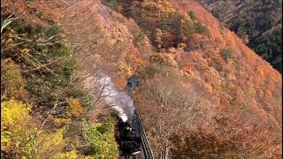 C58239釜石線営業運転'22.11.6