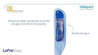 Sonda LoFric Origo