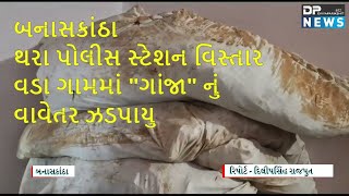 Thara Police Station: ગાંજા નું વાવેતર ઝડપાયુ | Banaskantha live Samachar | બનાસકાંઠા સમાચાર| Dpnews