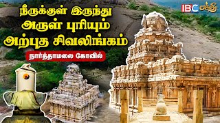 தஞ்சை பெரிய கோவிலை மிஞ்சும் விஜயாலய சோழீஸ்வரம் | Narthamalai Temple | Shiva Lingam