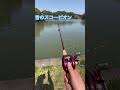 このリール知ってる人いる？みんなは、古いリール持ってる？ fishing shortvideo バス釣り daiwa carpfishing shimano bassfishing