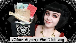 ODDITY MYSTERY BOX UNBOXING | Taxidermy and Oddities from Cleveland Curiosities