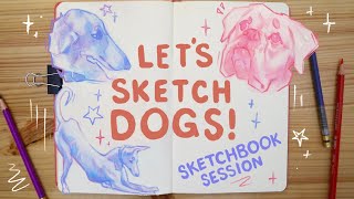 Sketchbook Session | Drawing Dogs + Chat