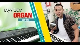 Tự Học Đàn Organ Online Cơ Bản | Huớng Dẫn Cho Nguời Mới Bắt Đầu