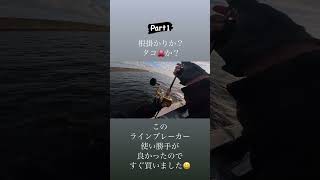 根掛かりか？タコ🐙か⁉️船長にも根だねと宣言されるも⁉️ #釣り #フィッシュ #fishing #竿 #海釣り #タコ釣り