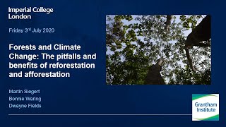 Forests and climate change: The pitfalls and benefits of reforestation