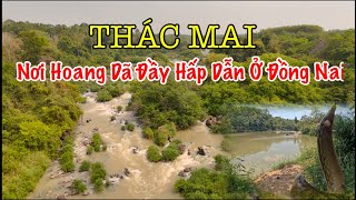 Khu Thác Mai ở Rừng Gia Canh có cảnh quan như thế nào? Đường rừng ở Đồng Nai (Rừng Phòng Hộ Tân Phú)