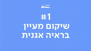 שיקום מעיינות בראיה אגנית - סקירה מקצועית