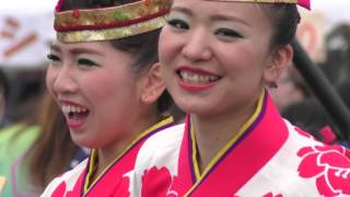 総踊り・よっちょれ＠2016　震災復興チャリティよさこい