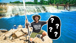GIANT SPILLWAY Fishing for MYSTERY SPECIES!!! (CATCH CLEAN COOK)