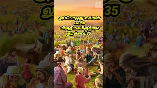 எப்பொழுது உங்கள் பலன் மிகுதியாய் இருக்கும்? | MANNA THE WORD OF JESUS