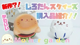 【🍔新作🍔】かわいい！しろたんスクイーズの購入品紹介！！