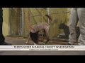 70 pets seized in animal cruelty investigation