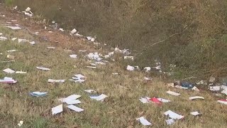 USPS mail littered on side of Georgia interstate | FOX 5 News