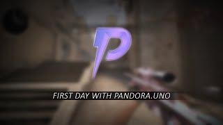 csgo hvh highlights with pandora