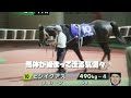 いくらじゃぱんの勝ち馬を探せ！宝塚記念2022　パドック回顧