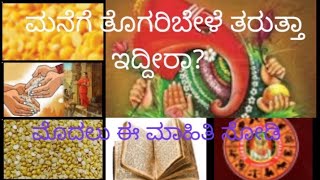 ತೊಗರಿ ಬೇಳೆ ಬಗ್ಗೆ ಉಪಯುಕ್ತ ಮಾಹಿತಿ