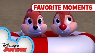 Nutty Tales Compilation! Part 3 | Chip 'N Dale's Nutty Tales | Disney Junior