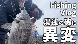 【永易啓裕のFishing Vlog】湯浅の磯の磯に異変？　謎の海藻を避けつつ大物チヌ目指して紀州釣り！！