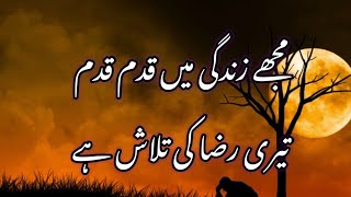 Hamd o Naat||best islamic poetry|urdu poetry|islamic status