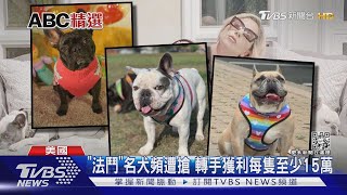 轉手可賣15萬 美國男遛「法鬥」愛犬遭飛車抱走｜TVBS新聞