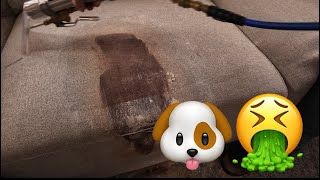 The most disgusting couch and carpet cleaning