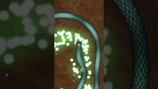Littlebigsnakeio  full Video link in Description #shorts #ultra2gaming #gameplay #snake #snakegame