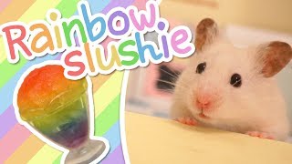 🌈 Rainbow Slushie | HAMSTER KITCHEN 🌈