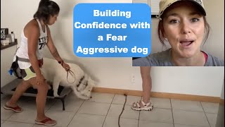 Fear aggressive dog through beginning steps of door etiquette with guests-Door reactivity-Part 1