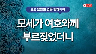 [주일감사예배] 모세가 여호와께 부르짖었더니 (출애굽기 15:22~27) | 2025년 1월 19일(주일) 최문식 목사