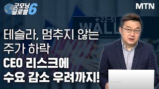 [이항영의 월가이드] 테슬라, 멈추지 않는 주가 하락 CEO 리스크에 수요 감소 우려까지! / 머니투데이방송 (증시, 증권)