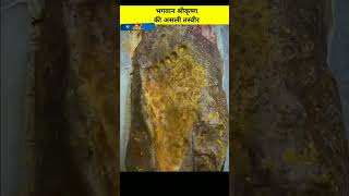 भगवान श्रीकृष्ण की असली तस्वीर😱|#shorts #youtubeshorts #viralfactsvideos