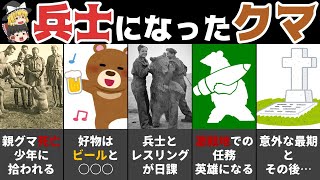 【ゆっくり解説】兵隊クマ！ヴォイテクの生涯　(歴史小話)