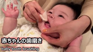 赤ちゃんの歯磨き　baby tooth brushing