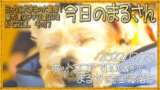 泉大津なぎさ公園BBQ N GRILL編その１７　ホットココアでBBQ終了！まるさん完全寝落ち　2022年12月29日