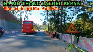 ĐÃ MỞ THÔNG LẠI ĐÈO PREEN PHỤC VỤ LỄ HỘI MAI ANH ĐÀO Ở ĐÀ LẠT