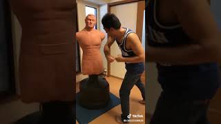 ボブのリアル感 Century Bob punching bag  #ボブシリーズ #ストレス解消 #気持ちいい動画 #omg #おすすめのりたい #ボクシング #気分るんるん