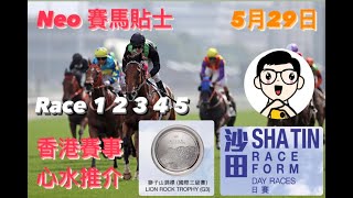 【賽馬貼士】5月29日 沙田賽事 心水推介 | Race 1 2 3 4 5 | 香港賽馬 | Hong Kong Horse Racing TIPS | Shatin Race Day