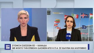 Νίκος Δένδιας: Οι νατοϊκές ασκήσεις σχεδιάζονται με σεβασμό στα κυριαρχικά δικαιώματα