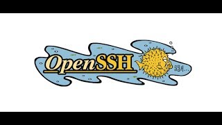 Easy Setup Openssh and X11 Forwarding - Linux SHELLSCRIPT
