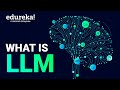 What is LLM (Large Language Model) | How Large Language Models Work? | Edureka