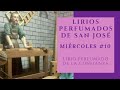 miÉrcoles 10 lirios perfumados de san josÉ