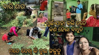 ମତେ ଦେଖି ଦେଖି ଜଳୁଥା ତୁଇ#pinkyalltypevlogs#housewifevlog#daliyvlog