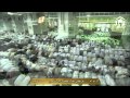 HD| Makkah Jumuah Salaah 6th Feb 2015 Sheikh Shuraim