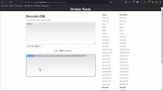 Web3 Hacking in Python - 0x06 - Automating our Disassembly and Bytecode Function Brute forcing Pt-2