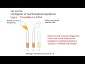 PS1 6 Equilibrium experiment with iron III and thiocyanate WIS