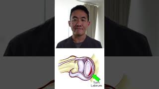 Recurrent Shoulder Dislocation in a Nutshell by Dr Bryan Tan Shoulder & Sports Surgeon