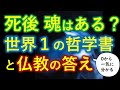 歴代１位の哲学書に「魂・死後」はどう教えられているか？その答えと量子力学と仏教の驚くべき共通点