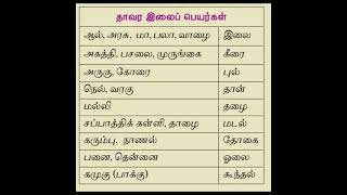 தாவர இலைப் பெயர்கள் #shorts